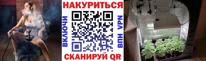 Лсд 25 Новоалександровск