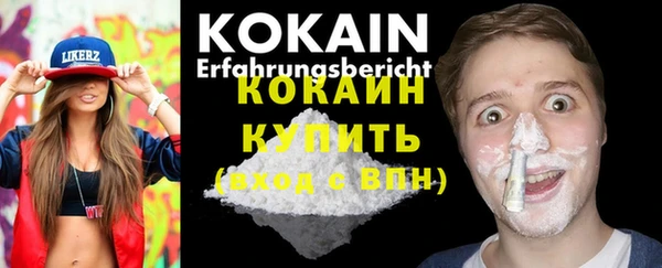 индика Абаза