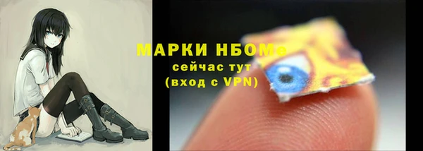 индика Абаза