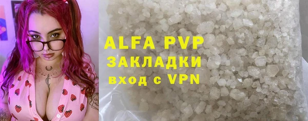 индика Абаза