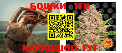 мдпв Кизилюрт