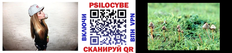 Галлюциногенные грибы GOLDEN TEACHER  купить   Новоалександровск 