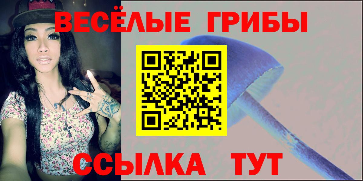 как найти закладки  Вход с VPN  Псилоцибиновые грибы GOLDEN TEACHER  Новоалександровск  Псилоцибиновые грибы прущие грибы 