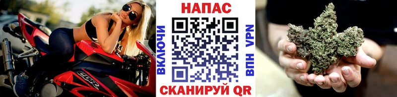 Шишки марихуана ГИДРОПОН Новоалександровск